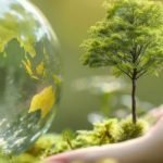 A hand holding a world and a tree